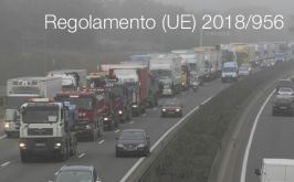 Regolamento (UE) 2018/956 Regolamento (UE) 2018/956