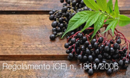 Regolamento (CE) n. 1881/2006 
