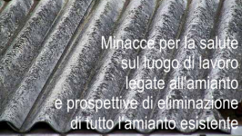 Amianto: dall'UE la risoluzione inerente i luoghi di lavoro Amianto: dall'UE la risoluzione inerente i luoghi di lavoro