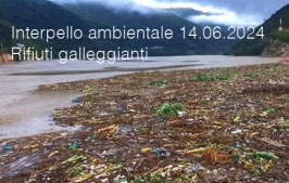 Interpello ambientale 14.06.2024 - Rifiuti di origine vegetale galleggianti