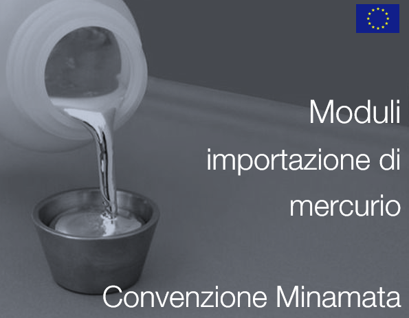 Moduli importazione di mercurio