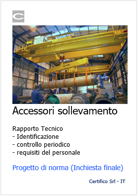 Accessori sollevamento verifica