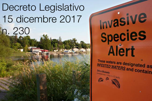 decreto legislativo 230 2017