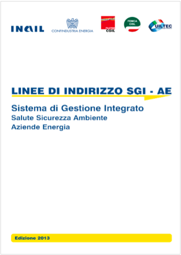 Linee indirizzo SGI AE