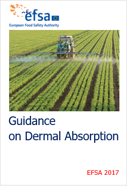 Guidance on dermal absorption