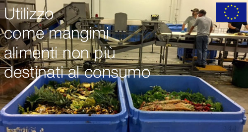 Orientamenti  ultilizzo  come  mangimi alimenti non pi  destinati consumo umano