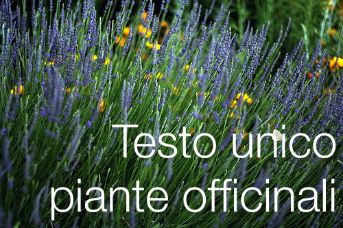 testo unico piante officinali