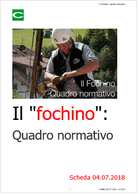 Il fochino quadro normativo