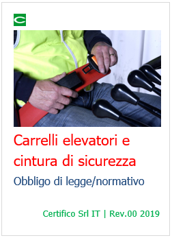 Carrelli elevatori e cintura di sicurezza