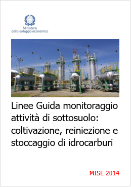 Linee guida monitoraggio della sismicit  attivita  antropiche