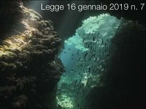 Legge 16 gennaio 2019 n  7