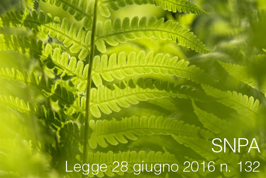 Legge 28 giugno 2016 n  132 SNPA