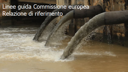 Linee guida Commissione europea Relazione di riferimento