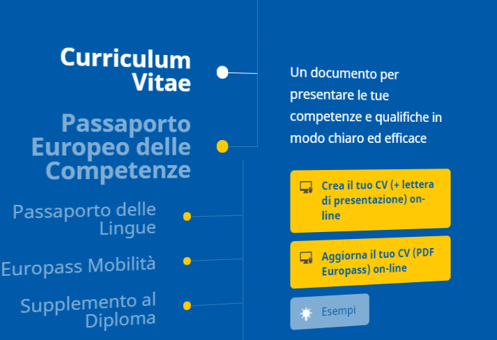 Curriculum vitae