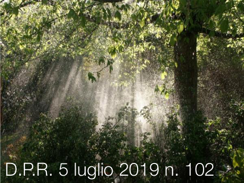 D P R  5 luglio 2019 n  102