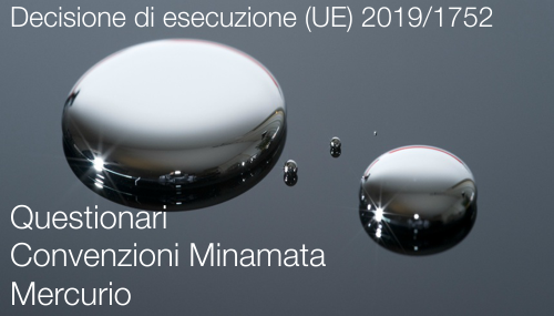 Decisione di esecuzione UE 2019 1752