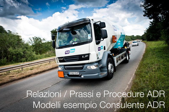 Relazioni   Prassi e Procedure ADR    Modelli esempio Consulente ADR