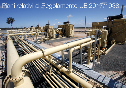 Piani relativi al Regolamento UE 2017 1938