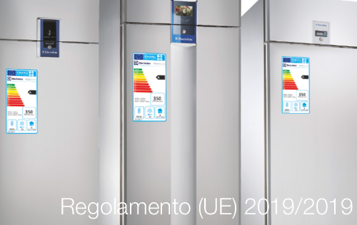 Regolamento UE 2019 2019