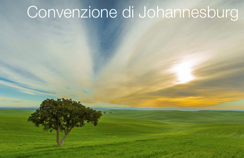 Convenzione di Johannesburg