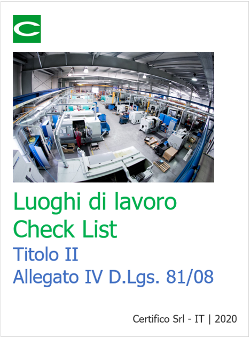 Allegato IV D Lgs  81 08