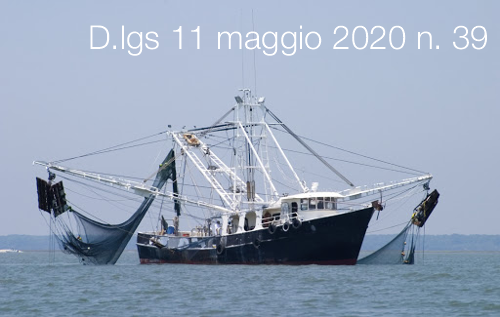 Decreto Legislativo 11 maggio 2020 n  39