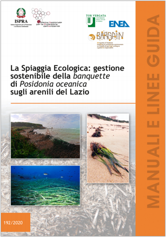 Spiaggia ecologia