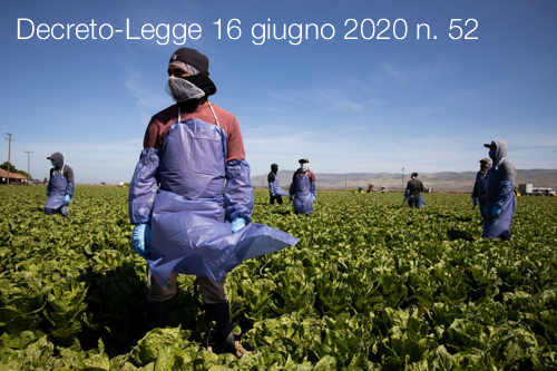 Decreto Legge 16 giugno 2020 n  52