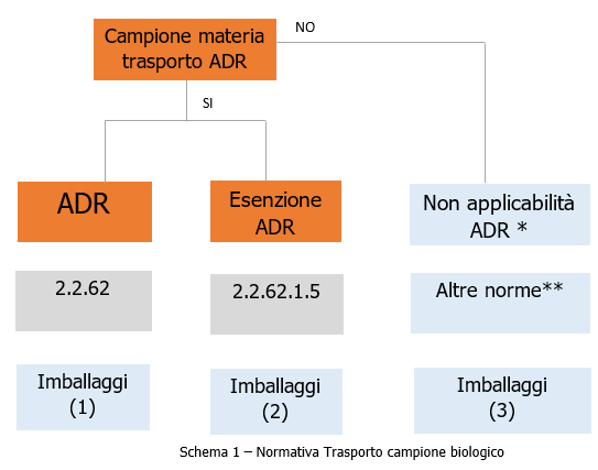 Schema 1