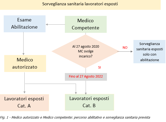 Figura 1