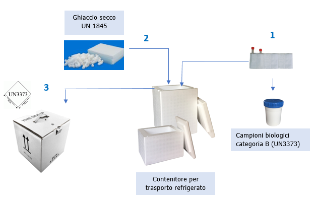 Esempio grafico