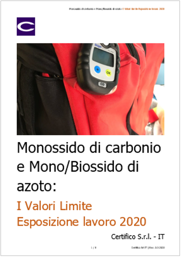 Monossido di carbonio e Mono Biossido di azoto   VLE lavoro