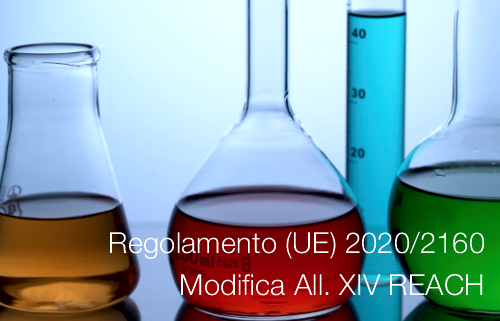 Regolamento UE 2020 2160