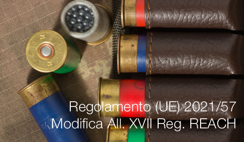 Regolamento UE 2021 57