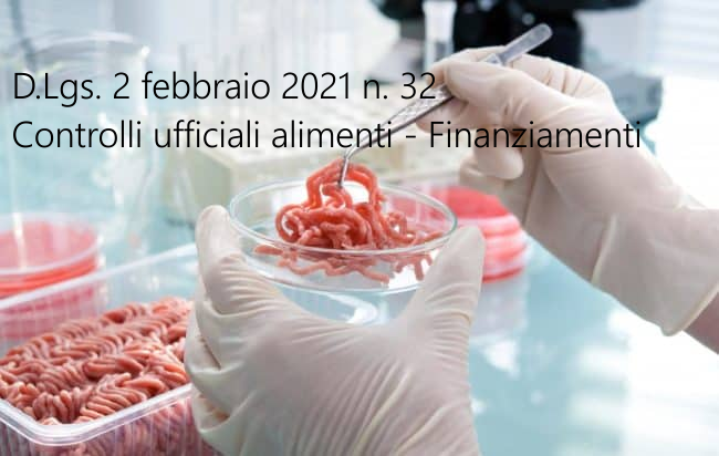 Decreto legislativo 2 febbraio 2021 n  32