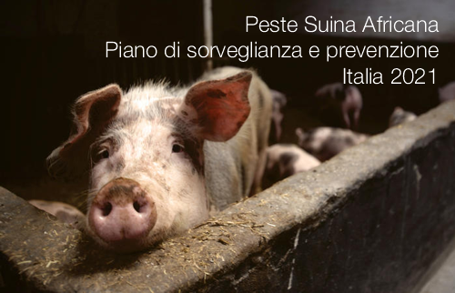 Peste Suina Africana   Piano di sorveglianza e prevenzione Italia 2021