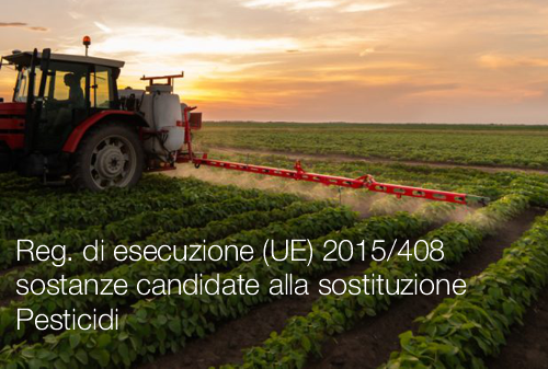 Regolamento di esecuzione UE 2015 408