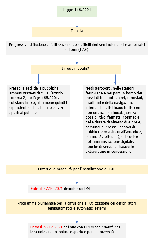 Vademecum defibrillatori automatici esterni DAE schema 1