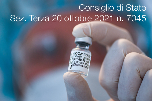 Consiglio di Stato Sezione Terza 20 ottobre 2021 n  7045