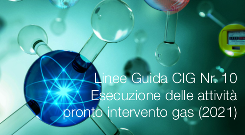 Linee Guida CIG Nr  10   L esecuzione delle attivit  di pronto intervento gas 2021