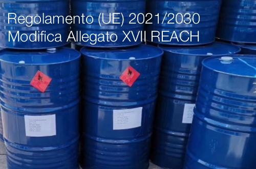 Regolamento UE 2021 2030