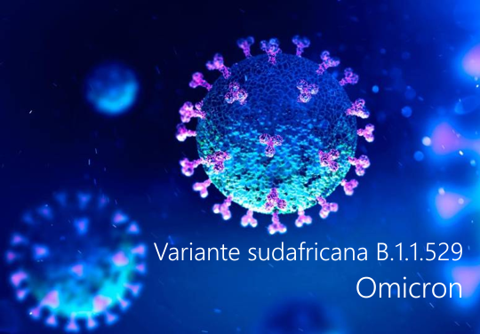 Variante sudafricana B 1 1 529  Omicron 