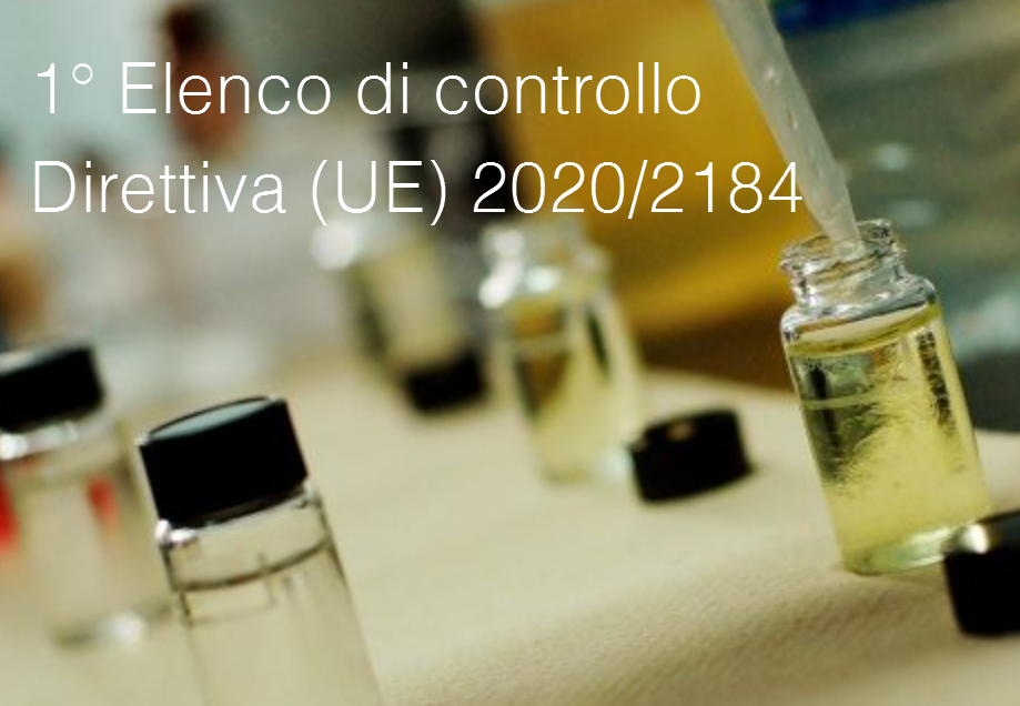 Elenco di controllo DWD 19 01 2022