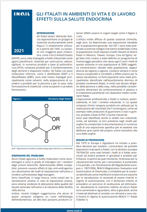Gli ftalati in ambienti di lavoro   INAIL 2022