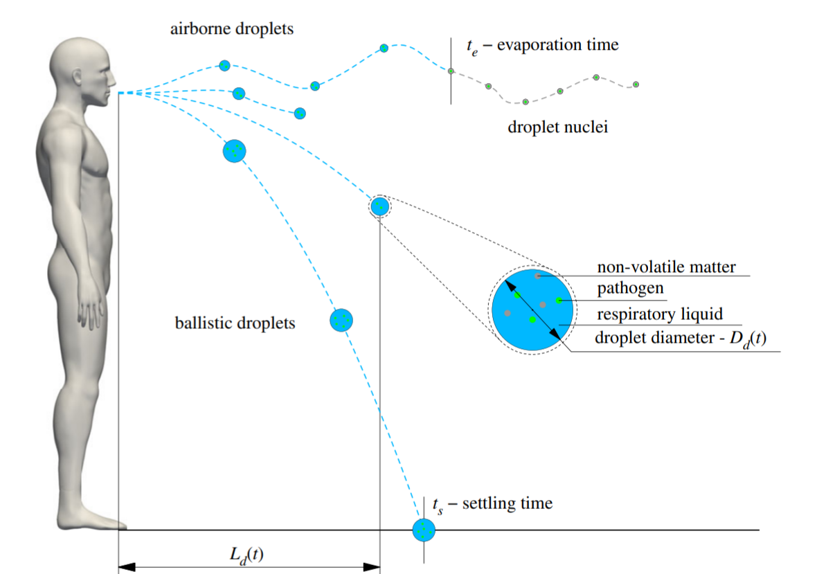 Modelling the direct virus exposure risk associated with respiratory events fig  1