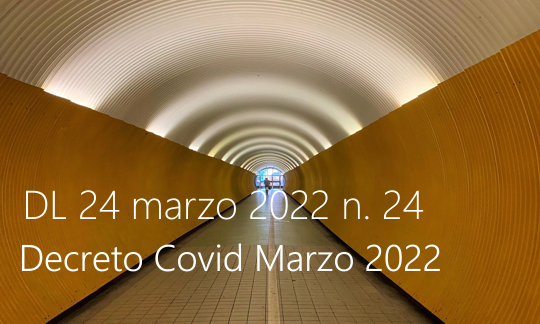 Decreto Legge 24 marzo 2022 n  24