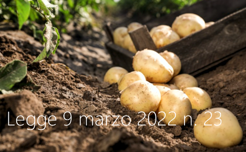 Legge 9 marzo 2022 n  23