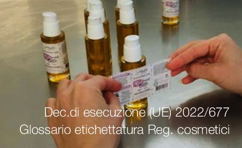 Dec di esecuzione UE 2022 677