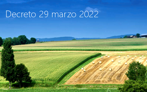 Decreto 29 marzo 2022