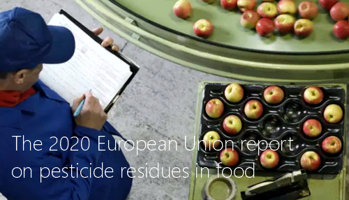 The 2020 European Union report on pesticide residues in food